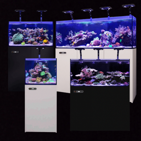 Maxspect Aquarien