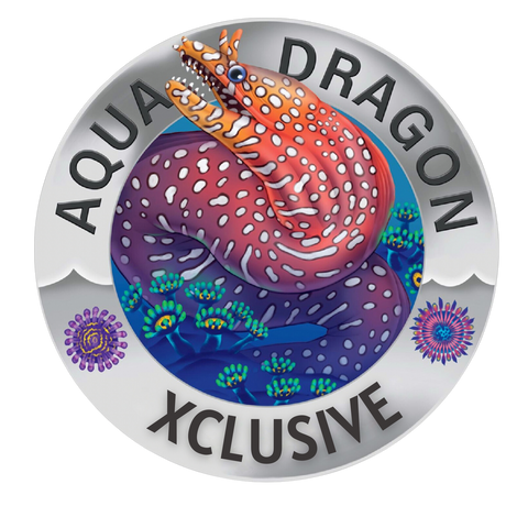 Aqua Dragon Xclusive