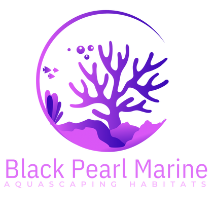 Black Pearl Marine