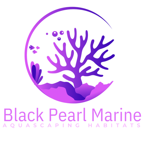 Black Pearl Marine