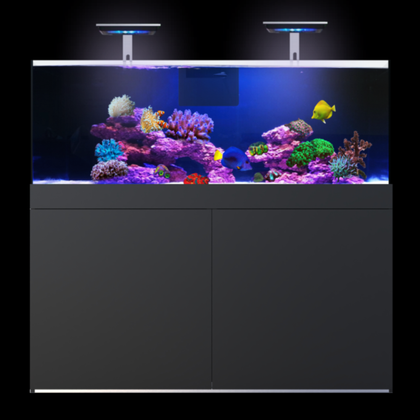 Giesemann Aquariensysteme