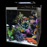 Blue Marine Reef Aquariums
