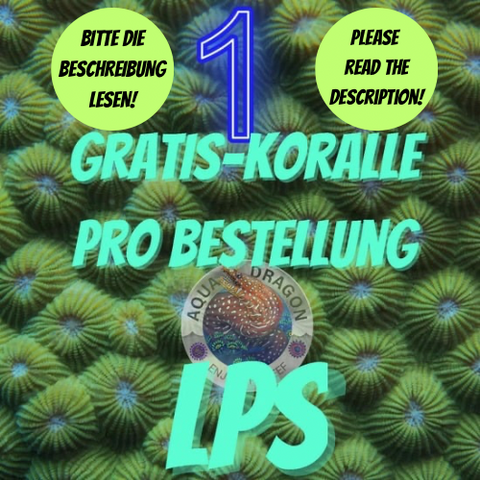 Gratis-Koralle LPS