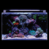 Blue Marine Reef Aquariums
