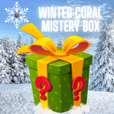 Winter Coral Mistery Box