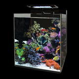 Blue Marine Reef Aquariums