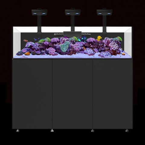 WATERBOX AQUARIUMS INFINIA FRAG & REEF & PENINSULA