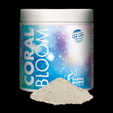 Fauna Marin Coral Bloom