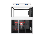 Red Sea REEFER MAX Peninsula G3+