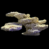 The Polyp Pros Reef Scape #2