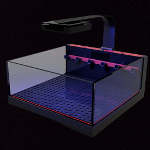 The Polyp Pros System Connected Frag Tank