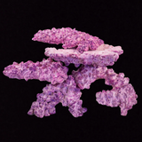 Aqua Forest Nano Rock 3,5kg
