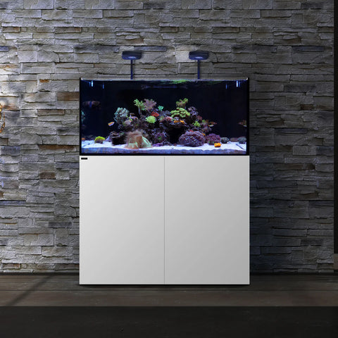 WATERBOX AQUARIUMS MARINE X