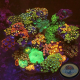 Monument Mythos WYSIWYG