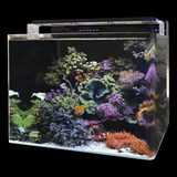 Blue Marine Reef Aquariums