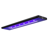 AI Blade GLOW