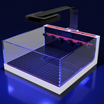 The Polyp Pros System Connected Frag Tank