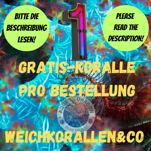 Gratis-Koralle Weichkorallen&Co