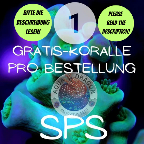 Gratis-Koralle SPS