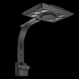 Maxspect Jump MJ Blue LED