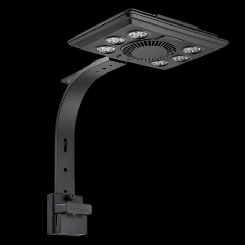 Maxspect Jump MJ Blue LED