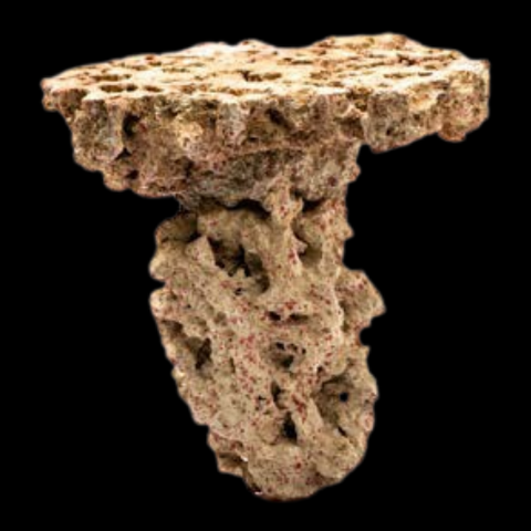 CaribSea Moani Shrooms 2 per box 9,07 kg