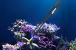 Maxspect Tweezers - Korallenpinzette