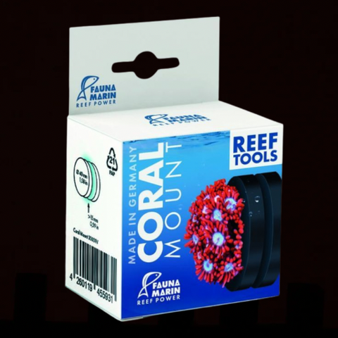 Fauna Marin Coral Mount