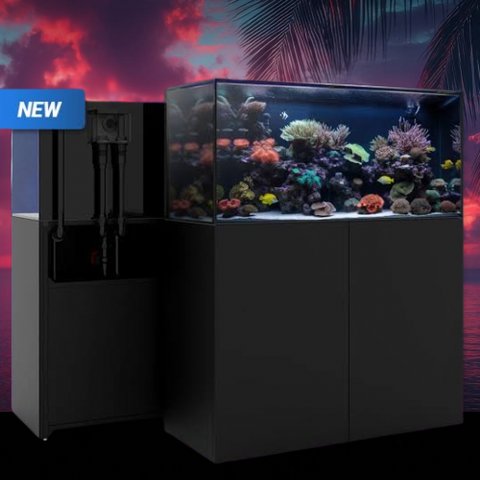 WATERBOX AQUARIUMS MARINE EX