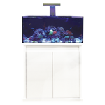 D-D Reef-Pro 900 Aquariumsystem