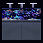 D-D Reef-Pro 1800 Aquariumsystem