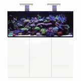 D-D Aqua-Pro Reef Metal Frame