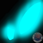 Anomalops katoptron “Großer Laternenfisch”