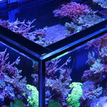 Red Sea REEFER-S G2+ Premium Systeme