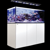 Red Sea REEFER™ Peninsula G2+ Systeme