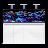 D-D Reef-Pro 1800 Aquariumsystem