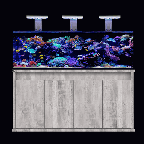 D-D Reef-Pro 1800 Aquariumsystem